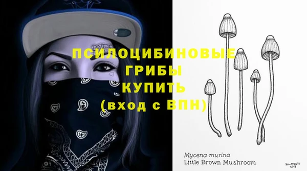 МДМА Протвино