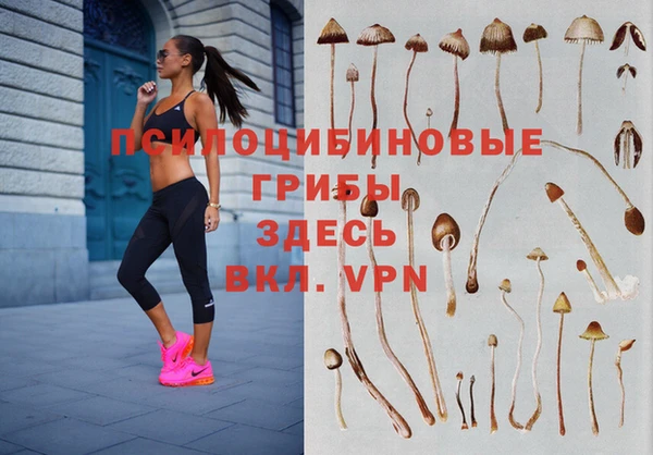 jwh Алексеевка