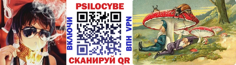 Псилоцибиновые грибы GOLDEN TEACHER Железногорск-Илимский