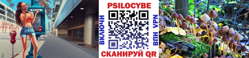 продажа наркотиков  кракен сайт  Галлюциногенные грибы Cubensis  Железногорск-Илимский 